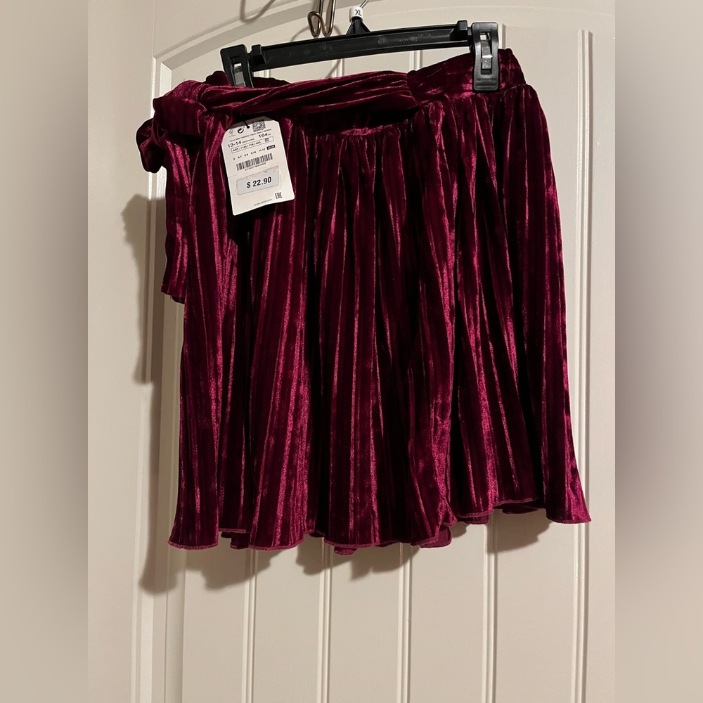 NWT Zara skirt